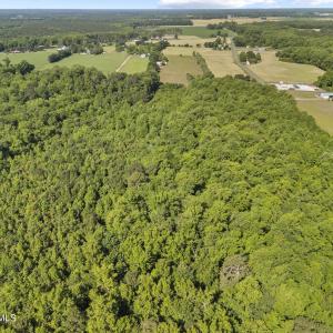 Photo #18 of 127 Nicodemus Kornegay, Albertson, NC 23.1 acres