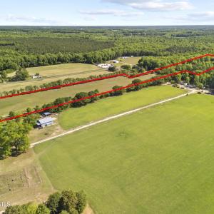 Photo #14 of 127 Nicodemus Kornegay, Albertson, NC 23.1 acres