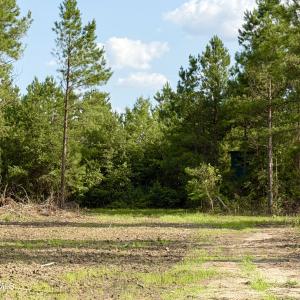Photo #13 of 2310 Devils Racetrack, Four Oaks, NC 99.6 acres