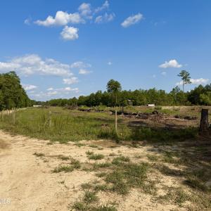 Photo #18 of 2310 Devils Racetrack, Four Oaks, NC 99.6 acres