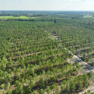 Photo #43 of 2310 Devils Racetrack, Four Oaks, NC 99.6 acres