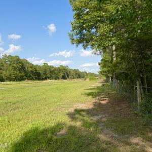 Photo #21 of 2310 Devils Racetrack, Four Oaks, NC 99.6 acres