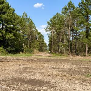 Photo #17 of 2310 Devils Racetrack, Four Oaks, NC 99.6 acres