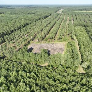 Photo #52 of 2310 Devils Racetrack, Four Oaks, NC 99.6 acres