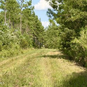 Photo #8 of 2310 Devils Racetrack, Four Oaks, NC 99.6 acres