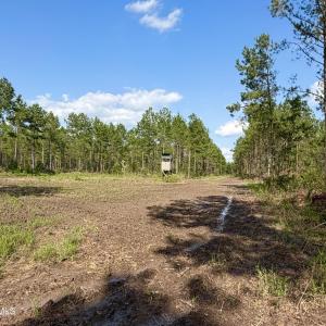 Photo #9 of 2310 Devils Racetrack, Four Oaks, NC 99.6 acres