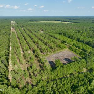 Photo #54 of 2310 Devils Racetrack, Four Oaks, NC 99.6 acres