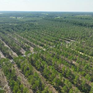 Photo #44 of 2310 Devils Racetrack, Four Oaks, NC 99.6 acres