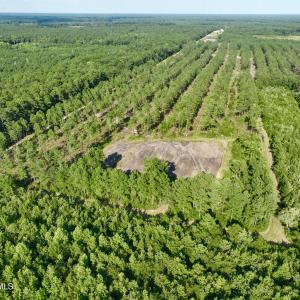 Photo #53 of 2310 Devils Racetrack, Four Oaks, NC 99.6 acres