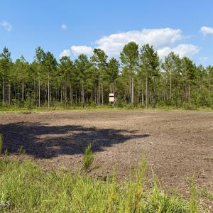 Photo #3 of 2310 Devils Racetrack, Four Oaks, NC 99.6 acres