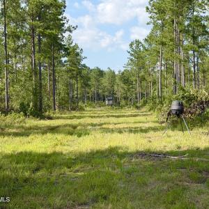 Photo #11 of 2310 Devils Racetrack, Four Oaks, NC 99.6 acres