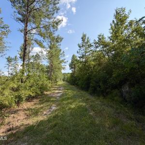 Photo #7 of 2310 Devils Racetrack, Four Oaks, NC 99.6 acres