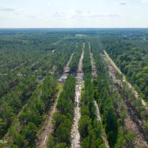 Photo #40 of 2310 Devils Racetrack, Four Oaks, NC 99.6 acres