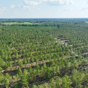 Photo #41 of 2310 Devils Racetrack, Four Oaks, NC 99.6 acres