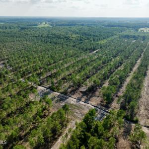 Photo #42 of 2310 Devils Racetrack, Four Oaks, NC 99.6 acres