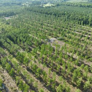 Photo #48 of 2310 Devils Racetrack, Four Oaks, NC 99.6 acres