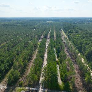 Photo #39 of 2310 Devils Racetrack, Four Oaks, NC 99.6 acres