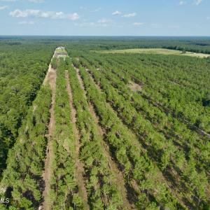 Photo #56 of 2310 Devils Racetrack, Four Oaks, NC 99.6 acres