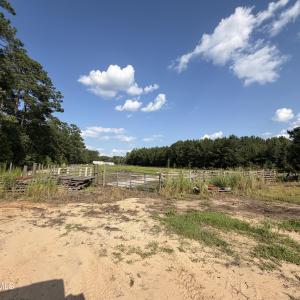 Photo #26 of 2310 Devils Racetrack, Four Oaks, NC 99.6 acres