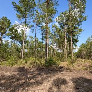Photo #14 of 2310 Devils Racetrack, Four Oaks, NC 99.6 acres
