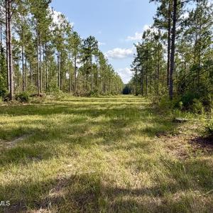 Photo #10 of 2310 Devils Racetrack, Four Oaks, NC 99.6 acres