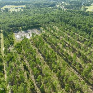 Photo #50 of 2310 Devils Racetrack, Four Oaks, NC 99.6 acres