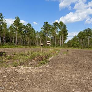 Photo #4 of 2310 Devils Racetrack, Four Oaks, NC 99.6 acres