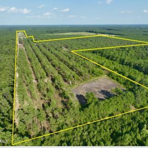 Photo #2 of 2310 Devils Racetrack, Four Oaks, NC 99.6 acres