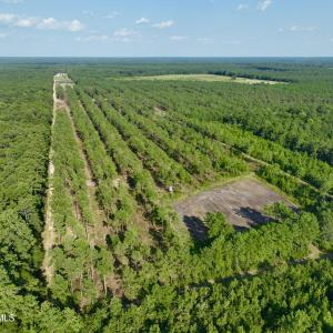 Photo #55 of 2310 Devils Racetrack, Four Oaks, NC 99.6 acres