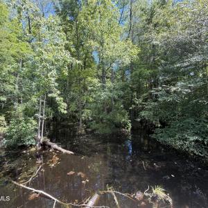 Photo #5 of 6514 Princess Ann, Evergreen, NC 19.6 acres