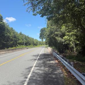 Photo #4 of 6514 Princess Ann, Evergreen, NC 19.6 acres
