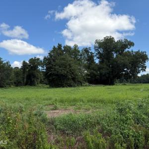 Photo #2 of 6514 Princess Ann, Evergreen, NC 19.6 acres