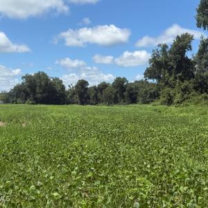 Photo #3 of 6514 Princess Ann, Evergreen, NC 19.6 acres