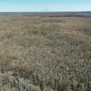 Photo #5 of 1320 Northside, Elizabeth City, NC 22.0 acres