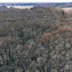 Photo #3 of 1320 Northside, Elizabeth City, NC 22.0 acres