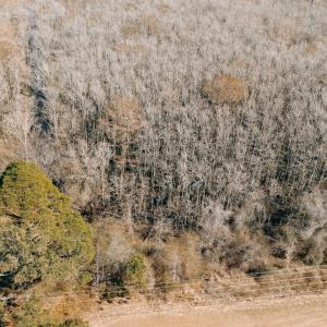 Photo #1 of 1320 Northside, Elizabeth City, NC 22.0 acres