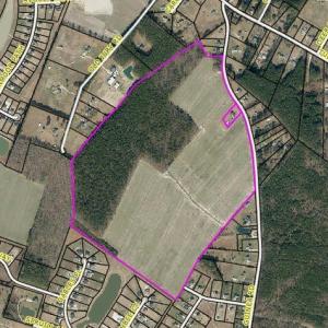Photo #4 of 138 Guinea, Moyock, NC 141.5 acres