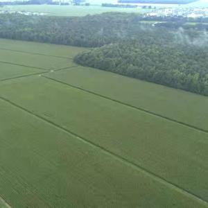 Photo #5 of 138 Guinea, Moyock, NC 141.5 acres