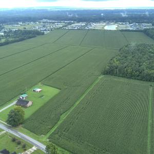 Photo #1 of 138 Guinea, Moyock, NC 141.5 acres