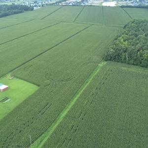 Photo #7 of 138 Guinea, Moyock, NC 141.5 acres
