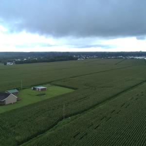 Photo #6 of 138 Guinea, Moyock, NC 141.5 acres