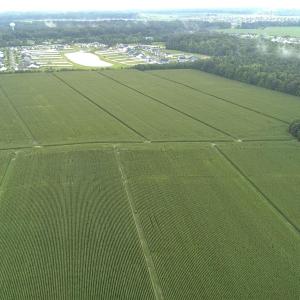 Photo #3 of 138 Guinea, Moyock, NC 141.5 acres