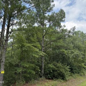 Photo #17 of Stilley Town, Edward, NC 42.0 acres