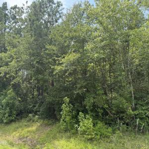 Photo #12 of Stilley Town, Edward, NC 42.0 acres