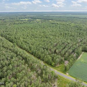 Photo #1 of Stilley Town, Edward, NC 42.0 acres