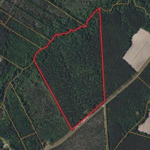 Photo #3 of Stilley Town, Edward, NC 42.0 acres