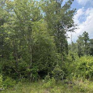 Photo #11 of Stilley Town, Edward, NC 42.0 acres