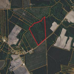 Photo #9 of Stilley Town, Edward, NC 42.0 acres