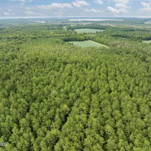 Photo #8 of Stilley Town, Edward, NC 42.0 acres