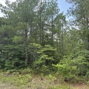 Photo #15 of Stilley Town, Edward, NC 42.0 acres